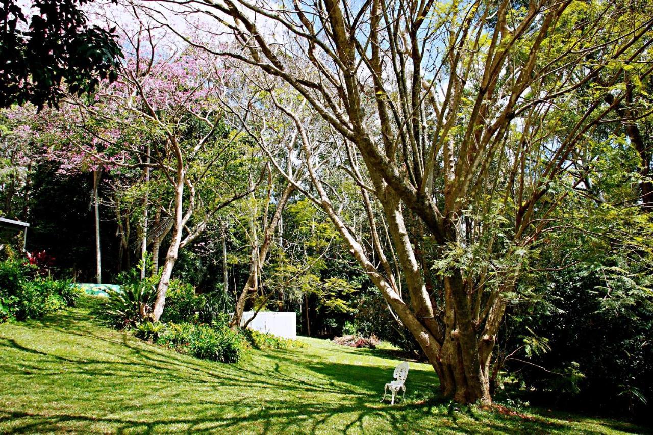 Maleny Monet Studio Eksteriør bilde