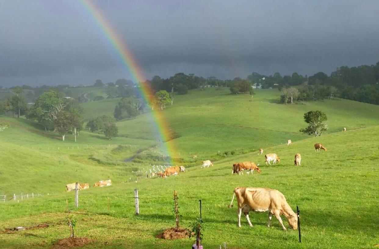 Maleny Monet Studio Eksteriør bilde